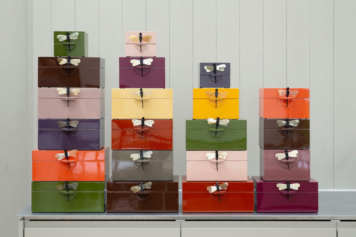 Dragonfly Collection