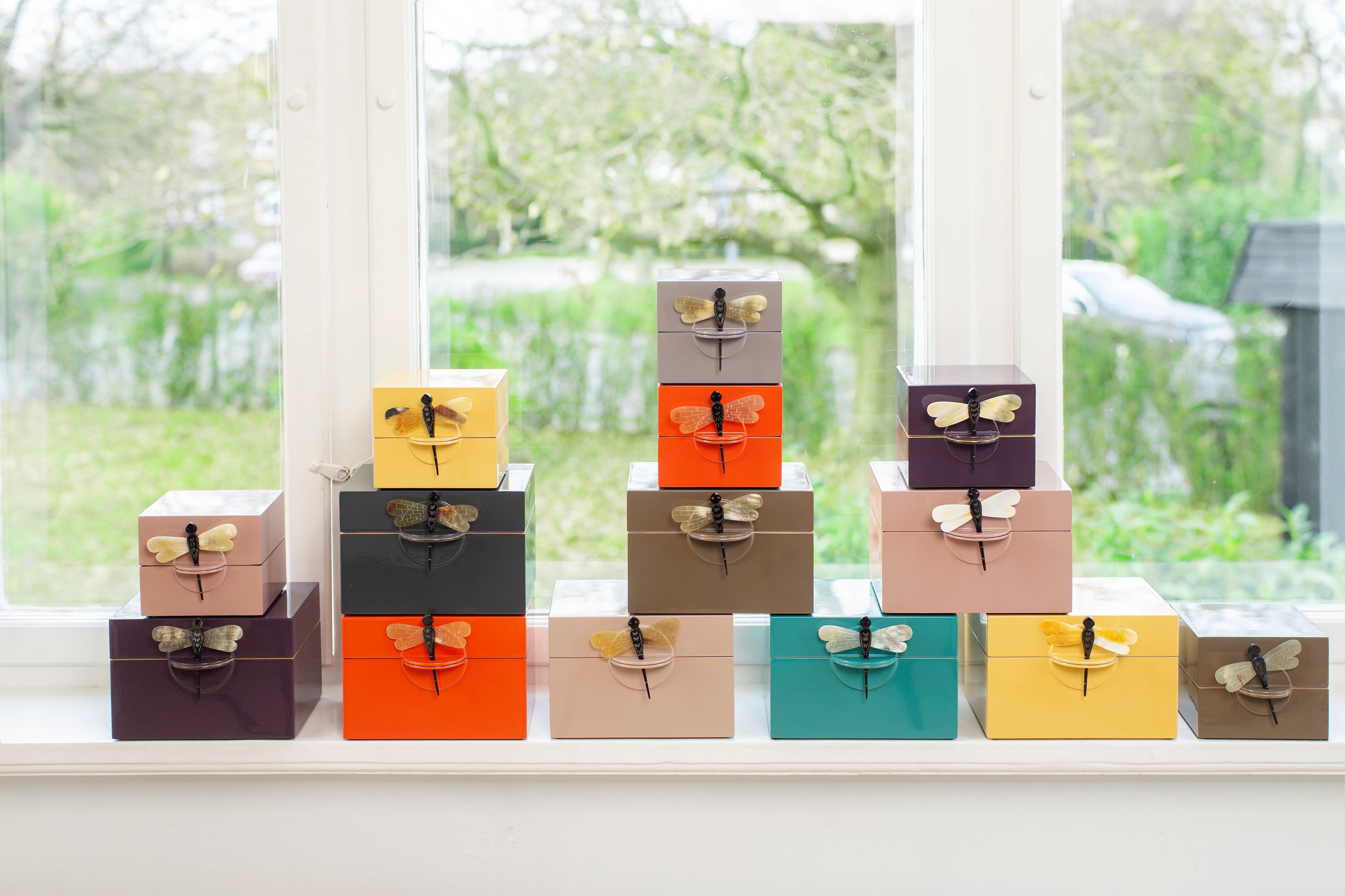 Dragonfly Collection