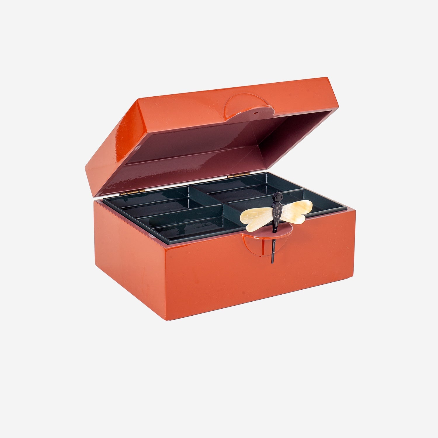 Lacquer Box XL rust