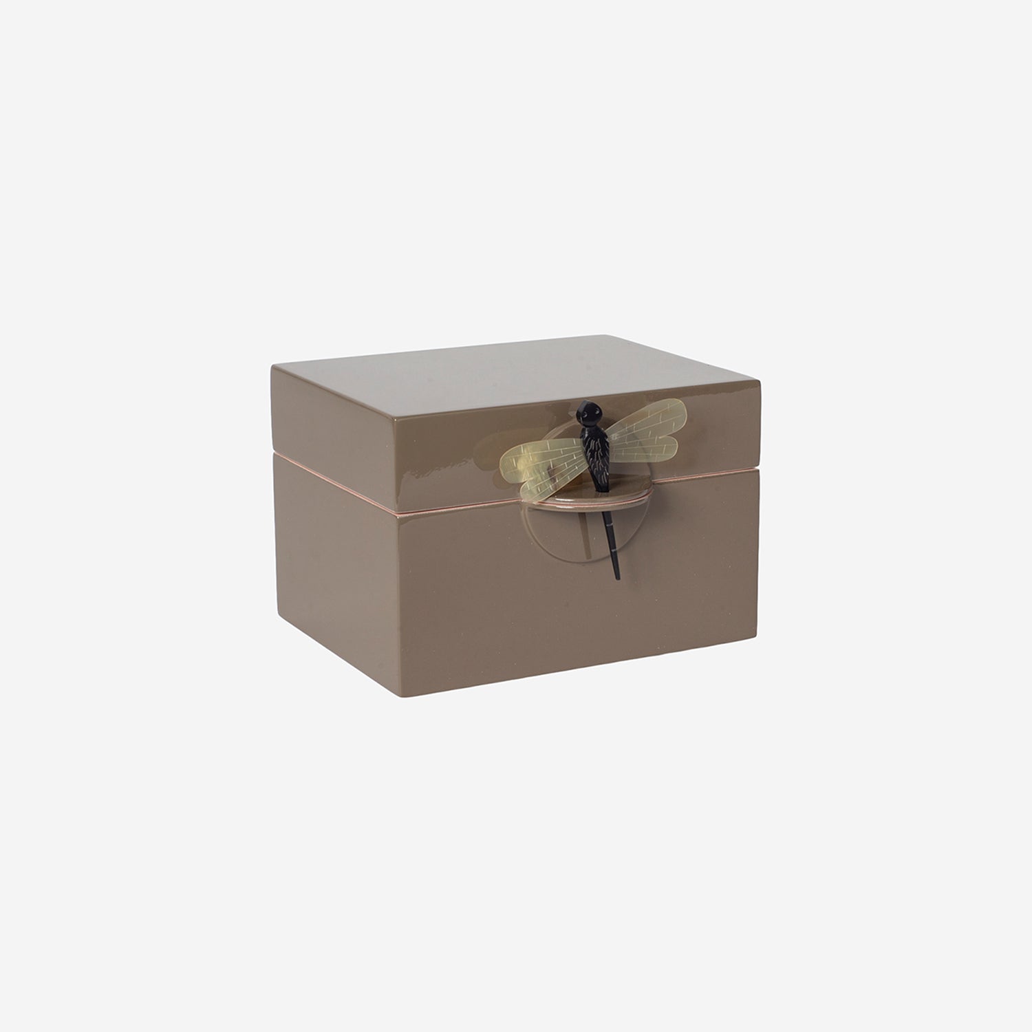 Lacquer Box B Earth